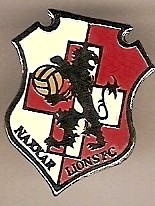 Badge Naxxar Lions